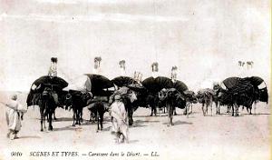 Algerie - Caravane dans le Desert